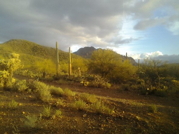 Tucson 2013 4