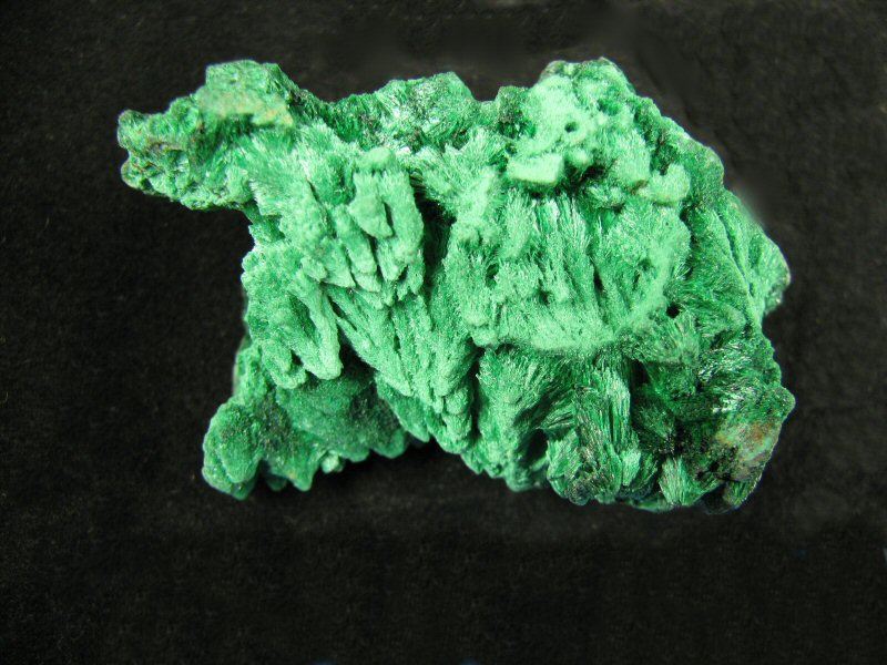 a645VelvetMalachite