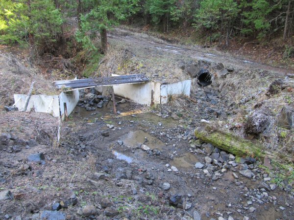 Lake Creek Agate Hunt 019