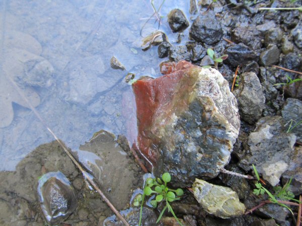 Lake Creek Agate Hunt 020