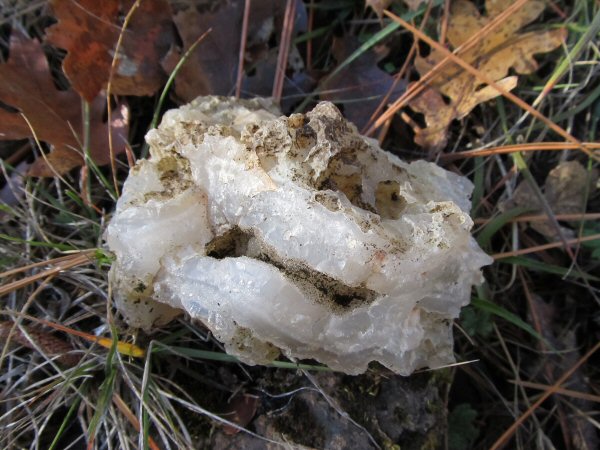 Lake Creek Agate Hunt 025