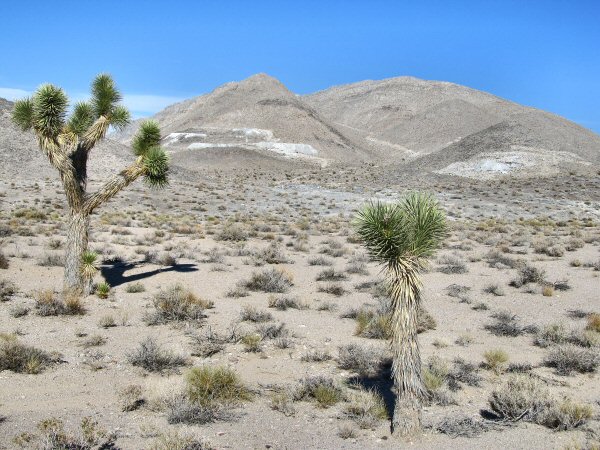 Trona 2013 061