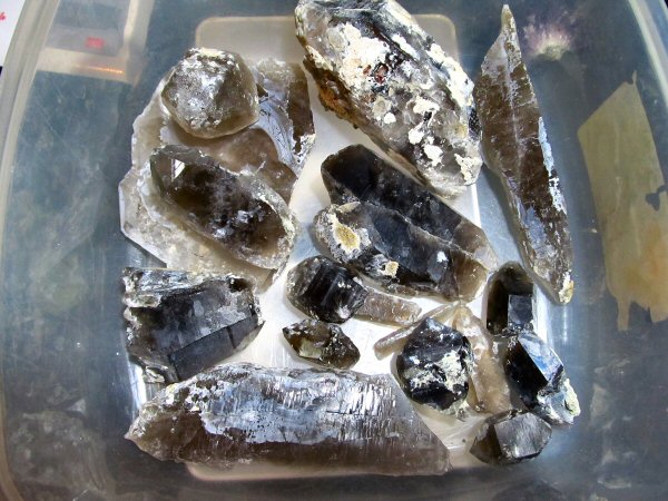 Rockhounding the Rockies: 300+ Smoky Quartz Crystals in 1 day at